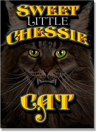 Sweet Little Chessie Cat